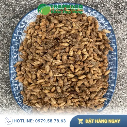 Hình ảnh cây ké đầu ngựa