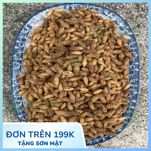 Ké đầu ngựa hỗ trợ giảm triệu chứng viêm mũi xoang
