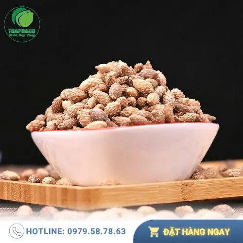 Cảnh báo sử dụng Ké Đầu Ngựa an toàn