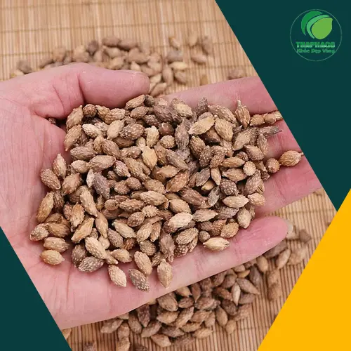 Tham khảo ý kiến bác sĩ khi dùng thảo dược
