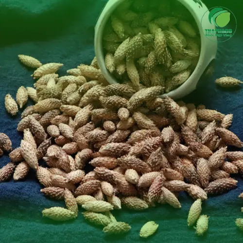 Ké đầu ngựa khô chất lượng tại THAPHACO