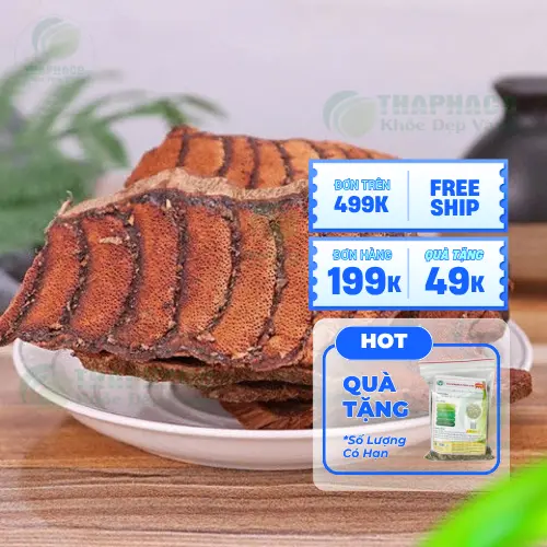 Kê Huyết Đằng - Công dụng tiềm năng của thảo dược