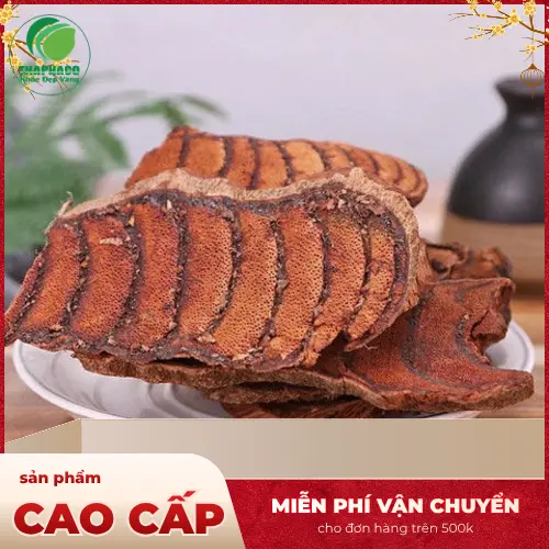 Thân cây Kê Huyết Đằng sau khi được cắt