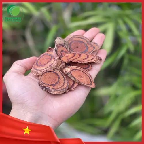 Sản phẩm Kê Huyết Đằng khô loại 1 của THAPHACO