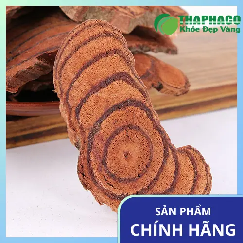 Địa chỉ mua Kê Huyết Đằng khô THAPHACO