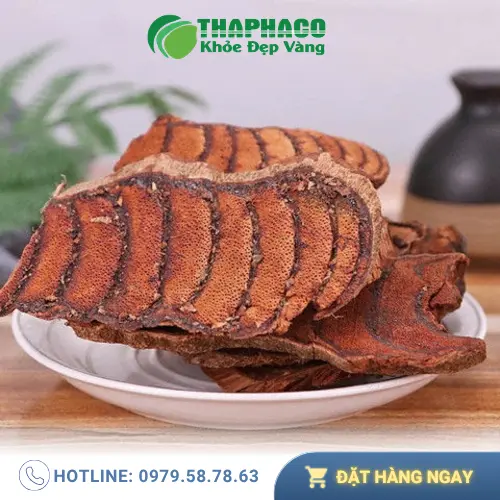 Kê Huyết Đằng sấy khô đóng gói tại THAPHACO