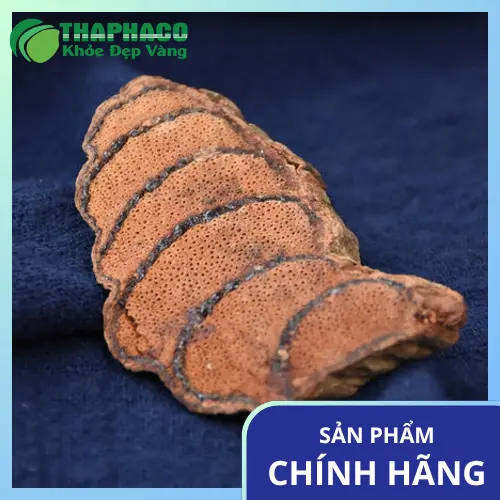 Cách dùng Kê Huyết Đằng an toàn