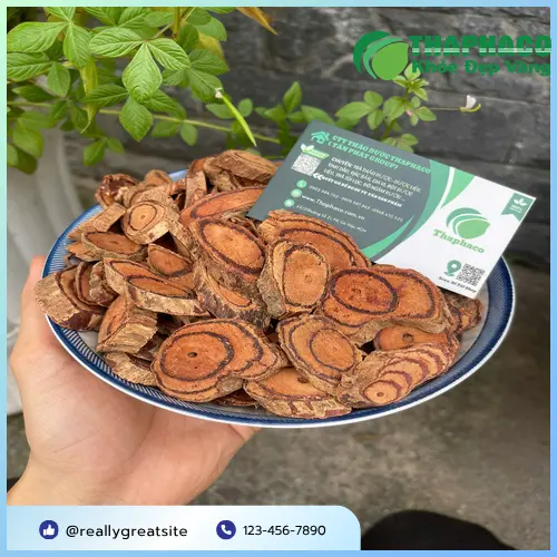 Kê Huyết Đằng sấy khô và đóng gói tại THAPHACO