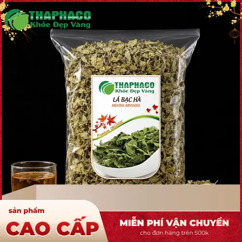 Cây bạc hà tươi xanh với lá màu xanh đậm, hình bầu dục, có răng cưa, mang hương thơm the mát đặc trưng.