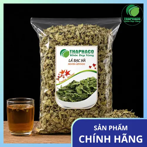 Lá bạc hà tươi xanh và khô