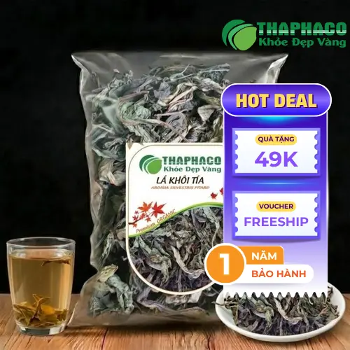 Lá khôi tía tươi và khô