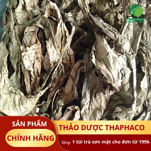 Lá khôi tía đã phơi khô