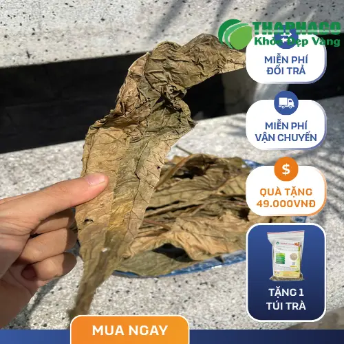 Các dụng cụ hỗ trợ bảo quản lá Khôi Tía khô hiệu quả