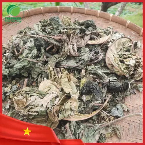 Cách dùng Lá Khôi Tía khô