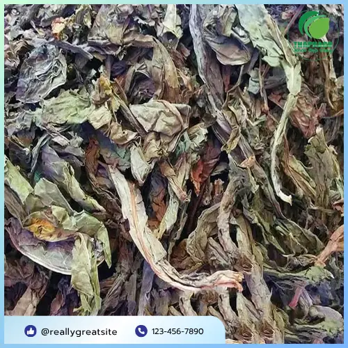 Lá Khôi Tía khô chất lượng tại THAPHACO