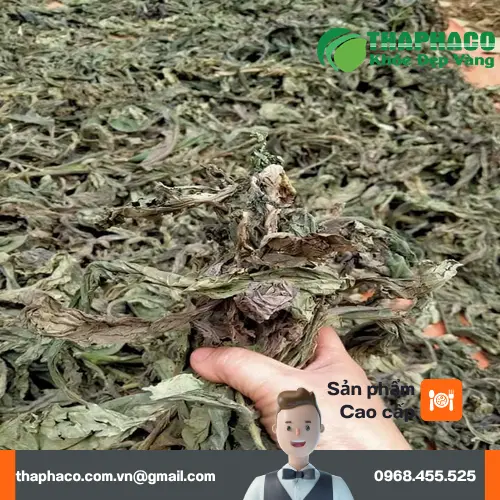 Cam kết chất lượng Lá Khôi Tía khô tại THAPHACO