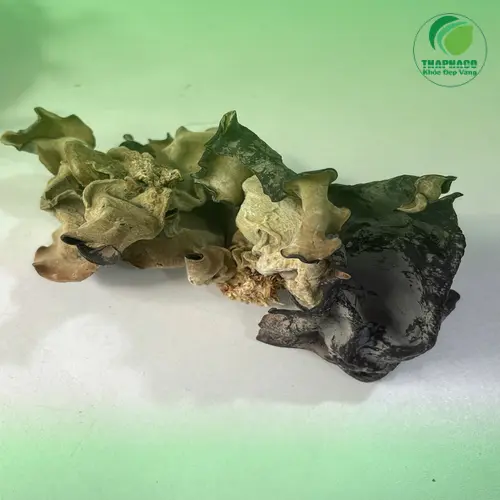 Cách sơ chế mộc nhĩ khô đúng cách