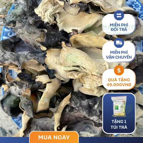Mộc nhĩ sấy khô đang ngâm trong nước ấm và nở ra