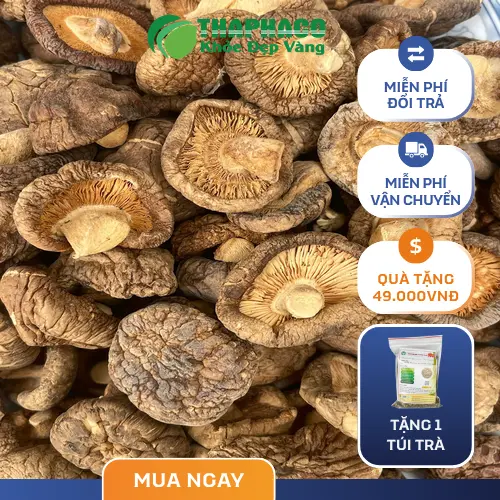 Nấm đông cô tươi được chọn lọc kỹ càng tại THAPHACO