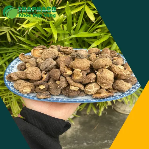 Cách nhận biết nấm đông cô sấy khô chất lượng