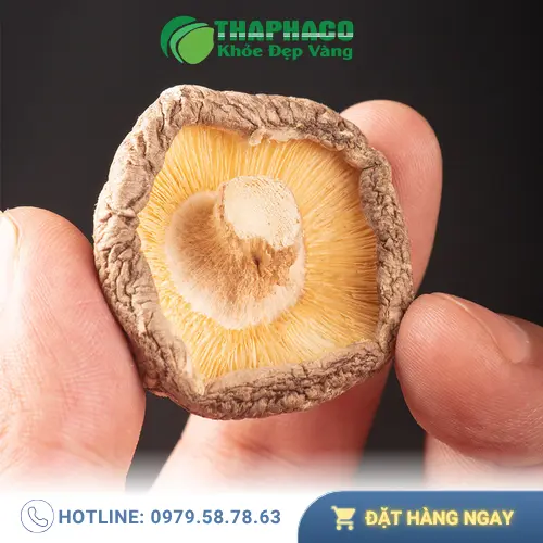 Gỏi nấm đông cô thanh mát