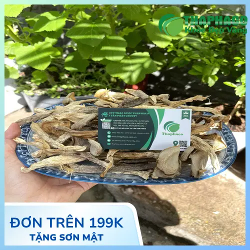 Nấm lộc nhung tươi có hình dáng đẹp mắt và màu sắc tự nhiên.