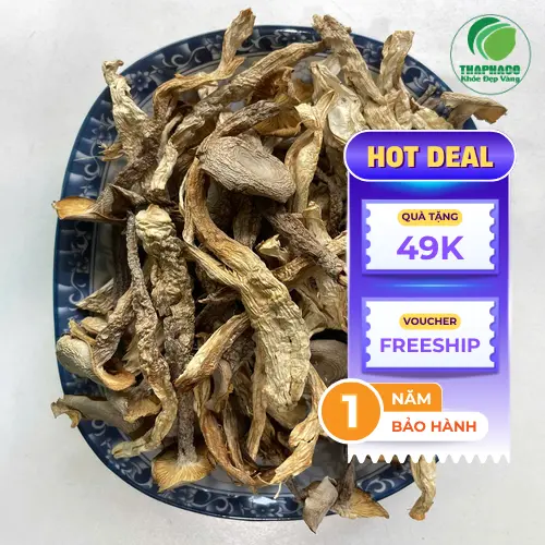 Nấm lộc nhung tươi chưa sơ chế