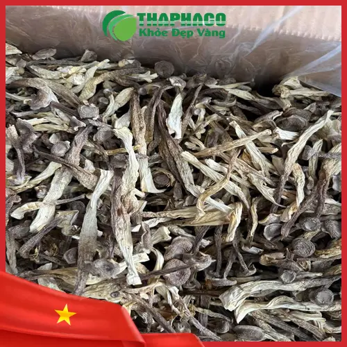 Sơ chế nấm lộc nhung tươi đúng cách
