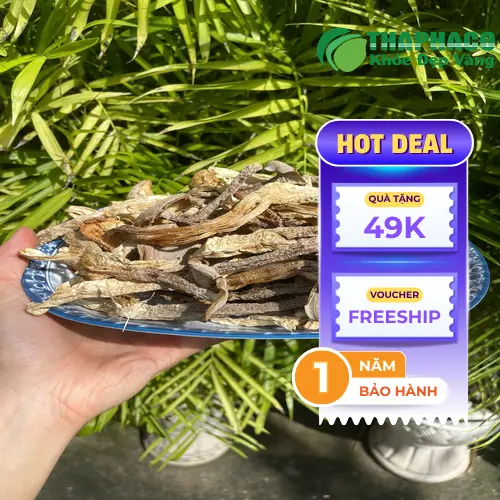 Nấm lộc nhung là nguồn dinh dưỡng thực vật cho người ăn chay
