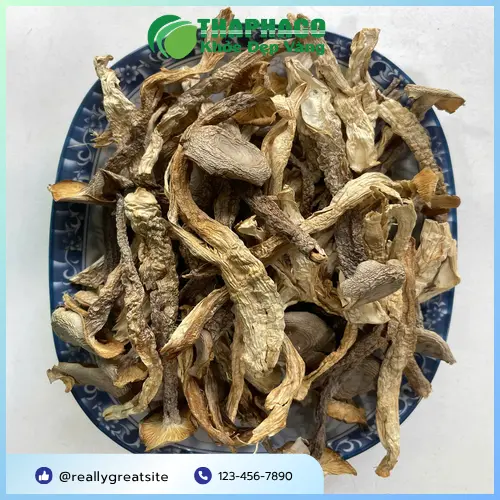 Chế biến nấm lộc nhung thành các món chay ngon miệng