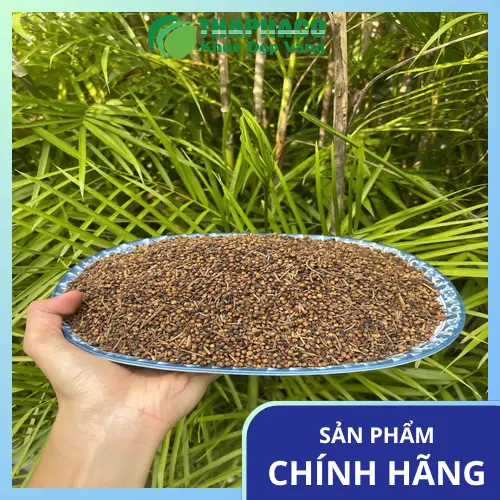 Lợi ích hỗ trợ của Nụ Vối Khô cho sức khỏe