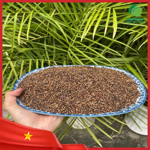 Cách pha trà nụ vối đúng cách