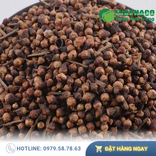Nụ vối và những thắc mắc thường gặp