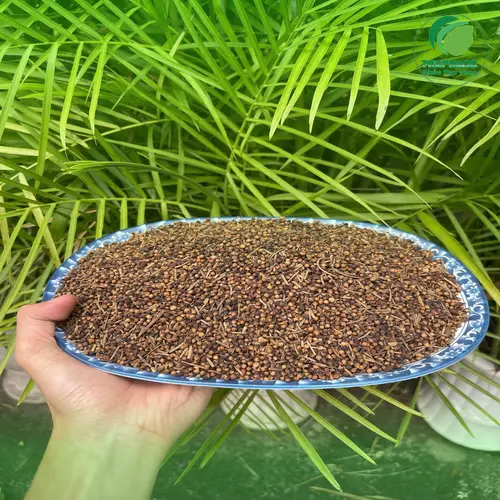Nụ Vối Khô THAPHACO được đóng gói cẩn thận