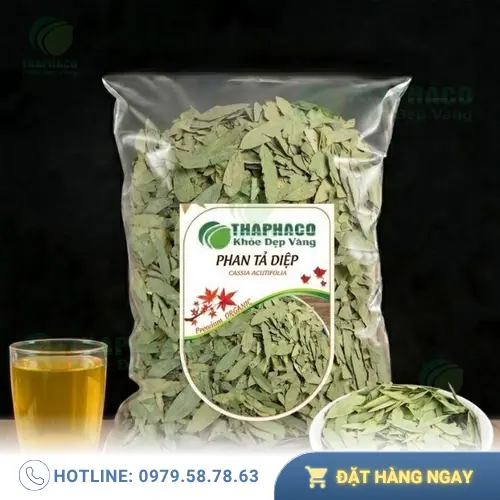 Phan Tả Diệp là gì