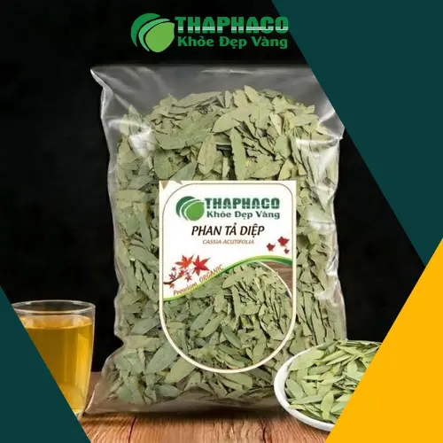 Hình ảnh cây Phan Tả Diệp tổng quan
