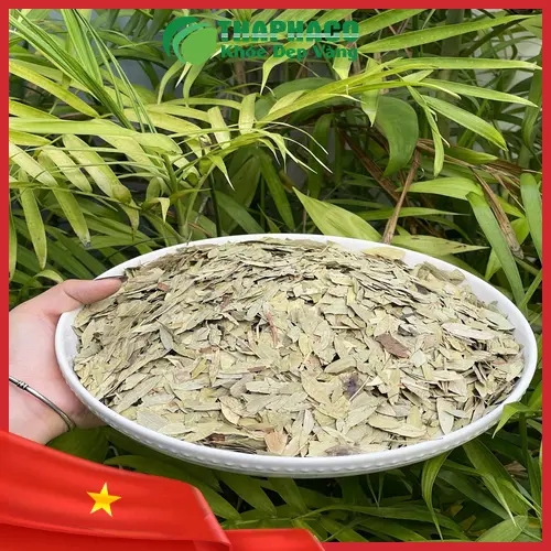 Lợi ích sức khỏe từ Phan Tả Diệp khô