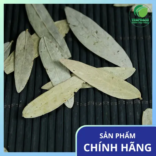 Cơ chế tác động của Phan Tả Diệp