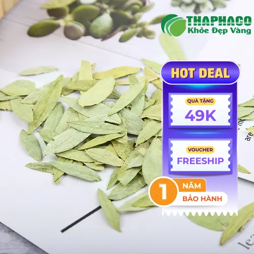 Đặc điểm cây Phan Tả Diệp