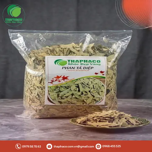 Pha trà Phan Tả Diệp giúp hỗ trợ tiêu hóa