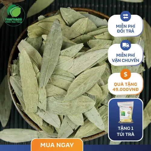Phan Tả Diệp khô đã được sơ chế