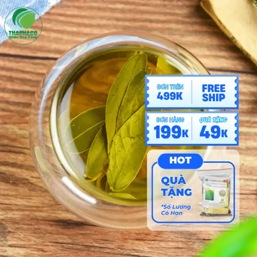 Công dụng hỗ trợ tiêu hóa của Phan Tả Diệp