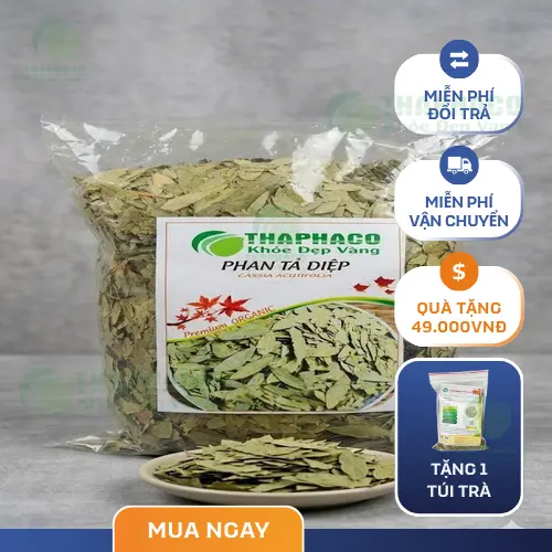 Lưu ý khi sử dụng Phan Tả Diệp để tránh tác dụng phụ