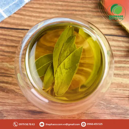 Cách dùng Phan Tả Diệp khô an toàn
