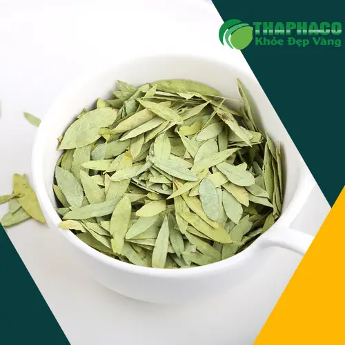 Phan Tả Diệp chất lượng tại THAPHACO