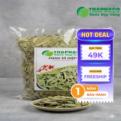 Thận trọng khi sử dụng Phan Tả Diệp
