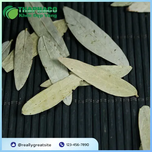 Tham khảo ý kiến chuyên gia khi dùng Phan Tả Diệp để đảm bảo an toàn