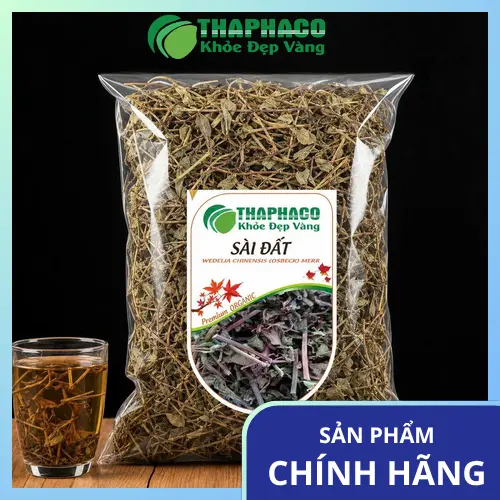Hình ảnh cây Sài Đất tươi