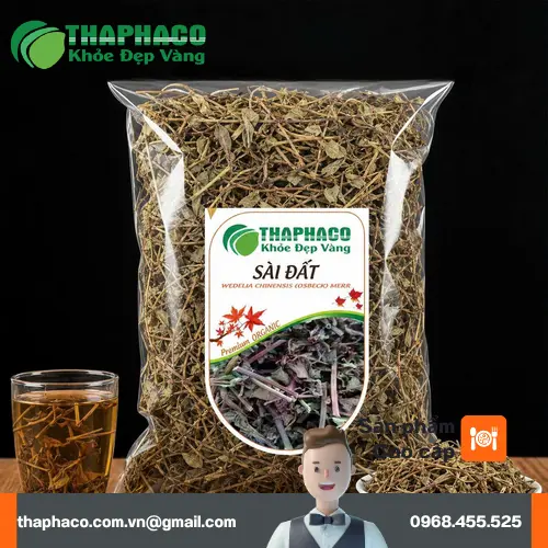 Hình ảnh cây Sài Đất tươi