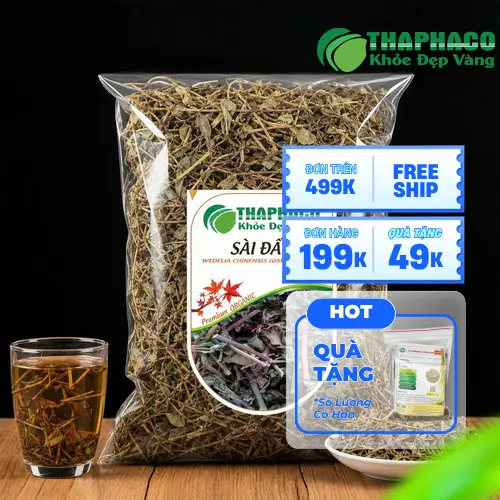 Hình ảnh cây sài đất tươi